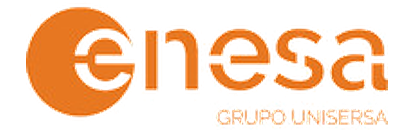 Logo Enesa